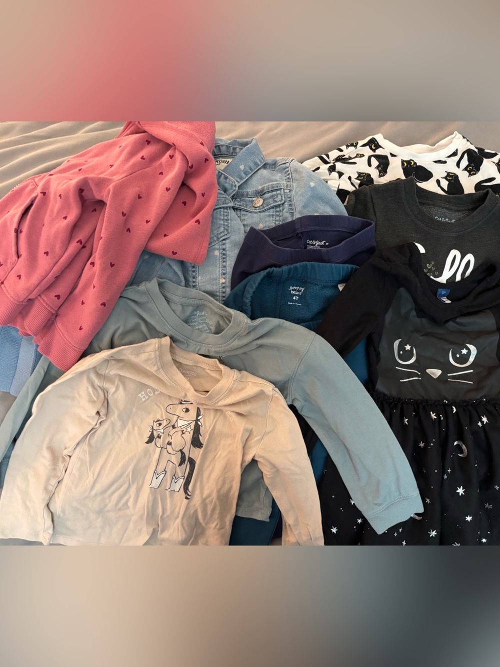 GUC Girl Fall Clothes Bundle 4T